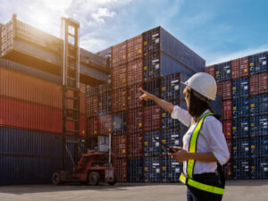 New service to manage import duties and VAT accounts