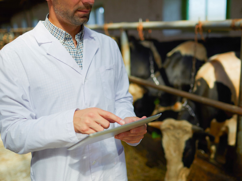 Important update for veterinary surgeons: Transition to new Special Import Certificate (SIC) digital service