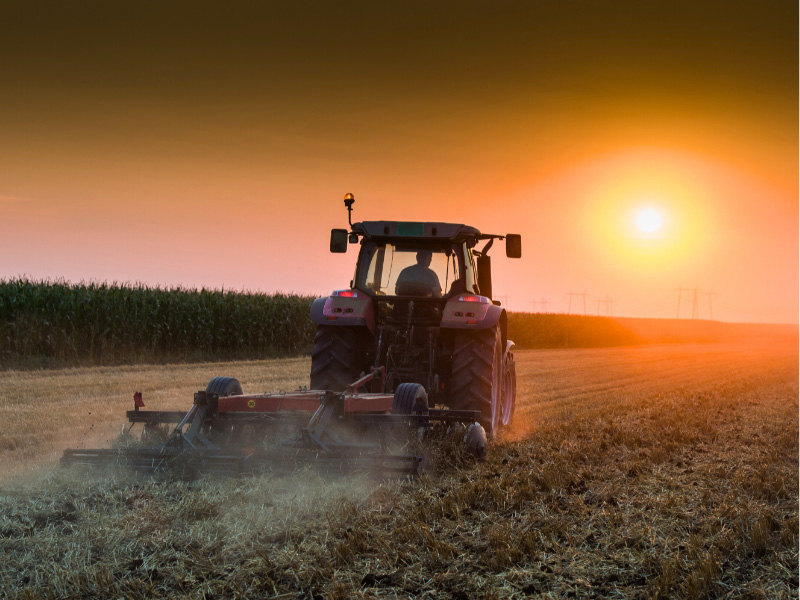 First instalments of delinked payments paid out to farmers
