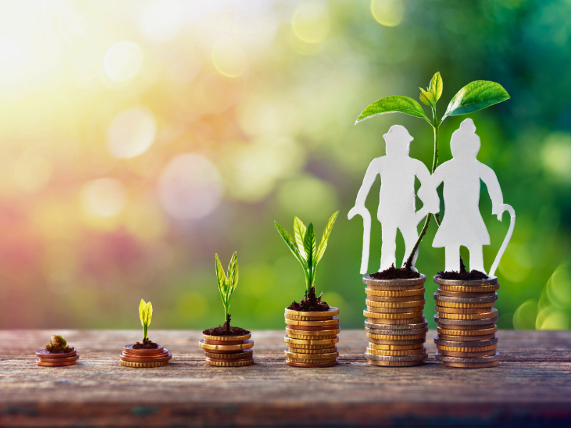 CHECK YOUR STATE PENSION ENTITLEMENT