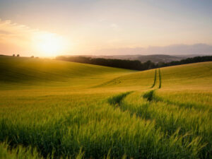 Agricultural and business property relief: What happened in the Budget?