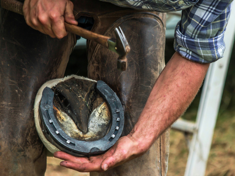 Boost for rural businesses: Government announces £38 million investment
