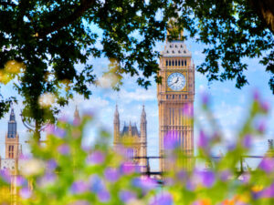 Spring Statement: How is your business affected?