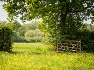 £30 Million Boost to HLS Payments: What It Means for Your Farm